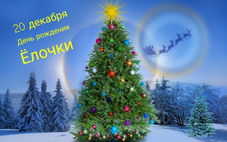 20 декабря — день рождения новогодней ёлки! 20 декабря — день рождения новогодней ёлки!.
